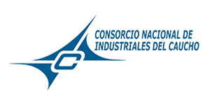 11.CONSORCIO